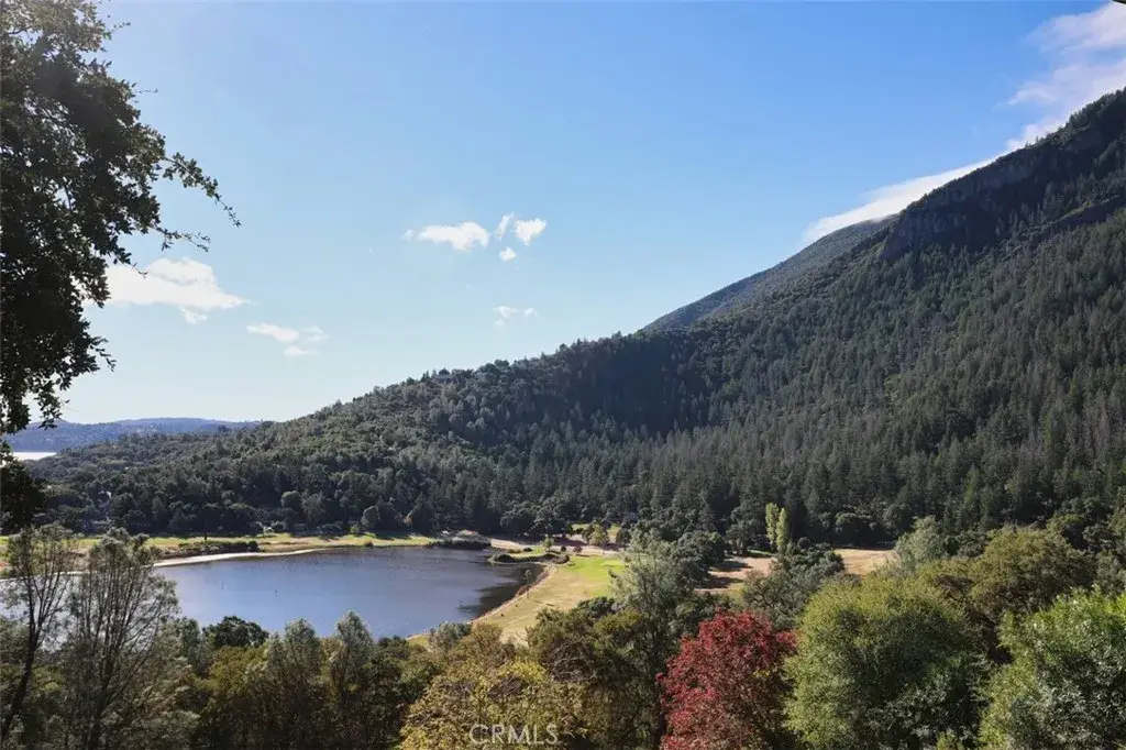 8250 Little Borax Lake, Kelseyville, CA 95451 - #1