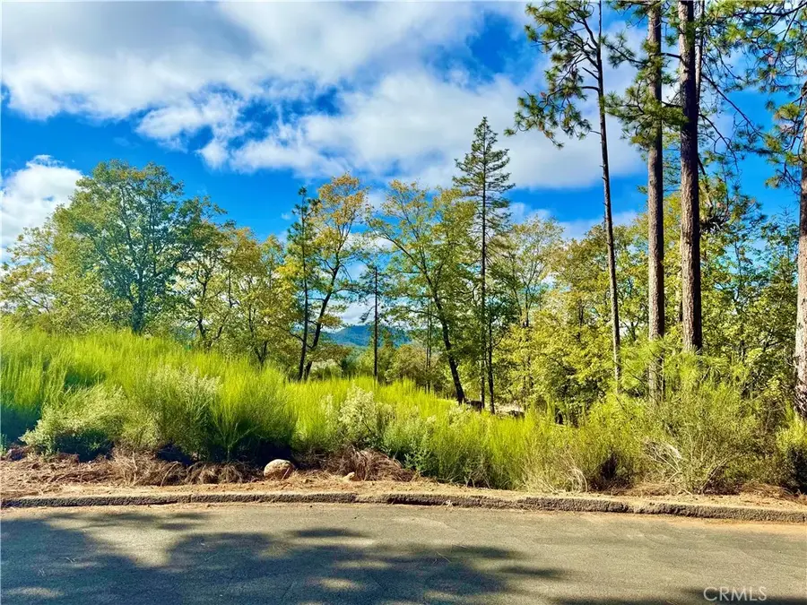 9093 Fox, Cobb, CA 95426 - #2