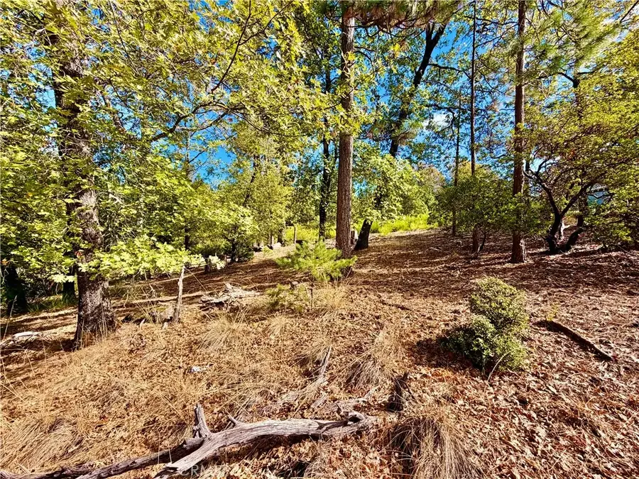 9093 Fox, Cobb, CA 95426 - #3