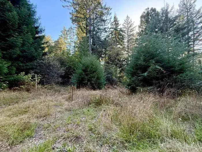 5300 Cameron Road, Elk, CA 95432 - #2