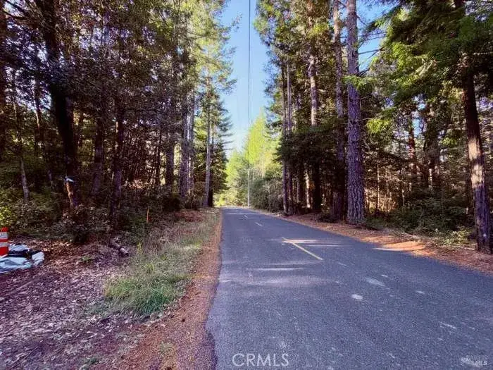5300 Cameron Road, Elk, CA 95432 - #3