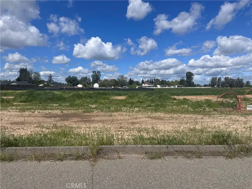 0 White Crane, Atwater, CA 95301 - #1