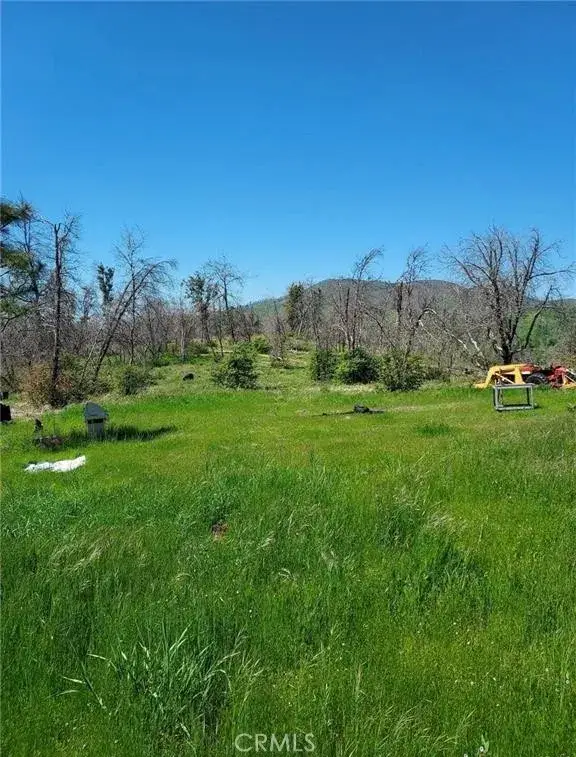 3109 Wild Dove, Mariposa, CA 95338 - #1