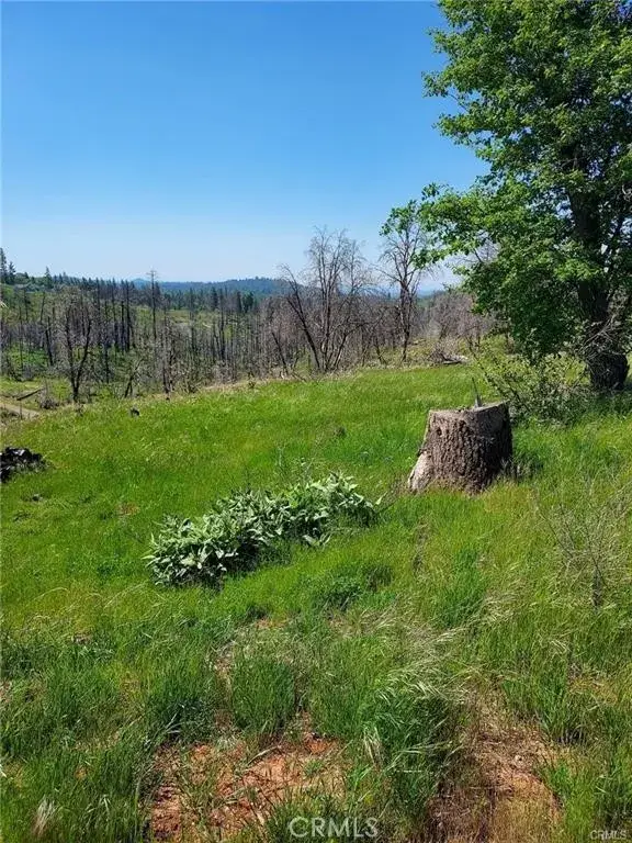 3109 Wild Dove, Mariposa, CA 95338 - #3