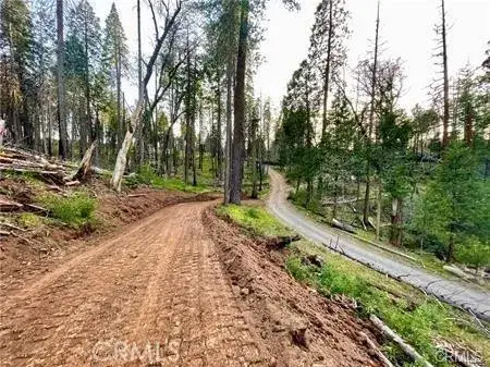 229 Comet Mine, Mariposa, CA 95338 - #2