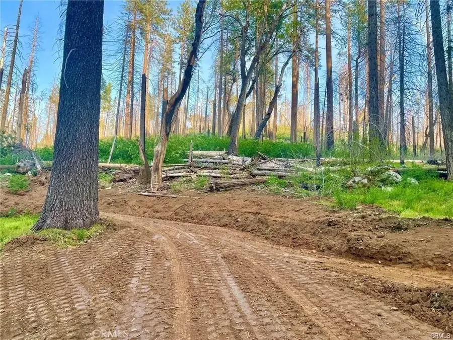 229 Comet Mine, Mariposa, CA 95338 - #3