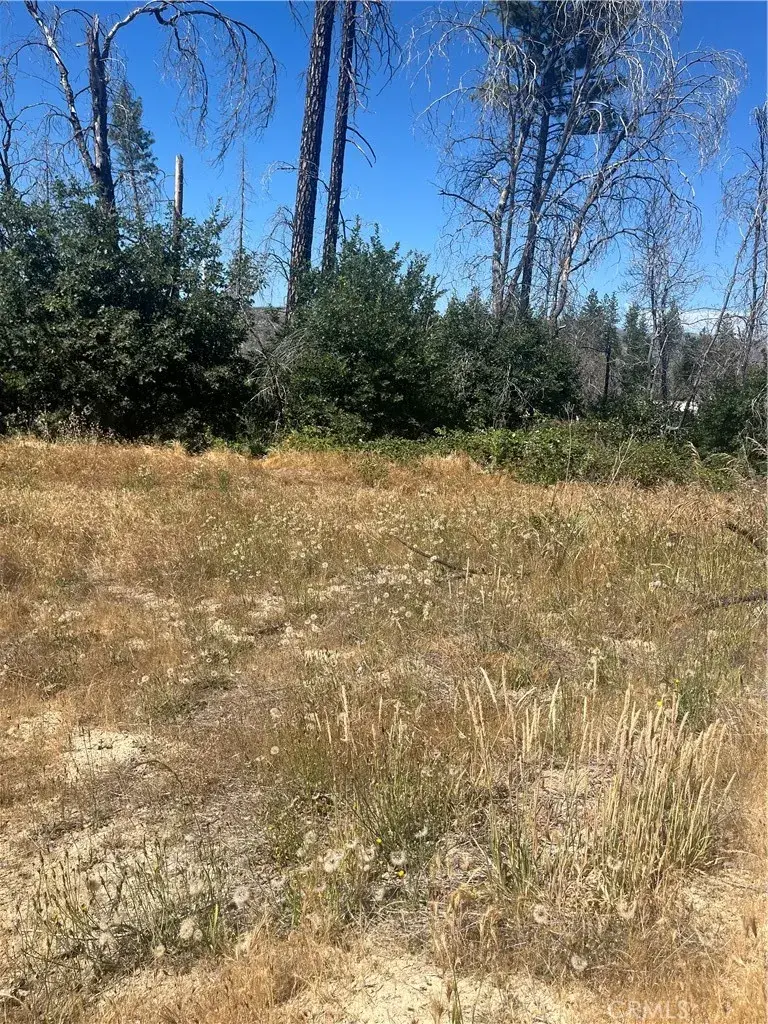 122 Simpson Ranch, Berry Creek, CA 95916 - #2