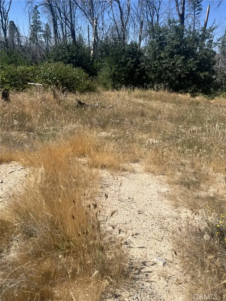 130 Simpson Ranch, Berry Creek, CA 95916 - #1