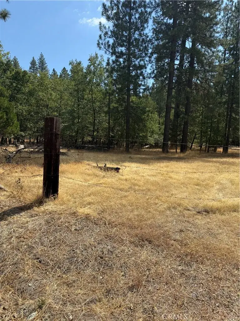 6479 Pine, Coulterville, CA 95311 - Image #2