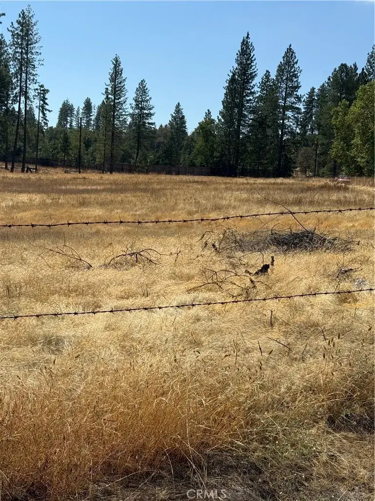 6479 Pine, Coulterville, CA 95311 - Image #3