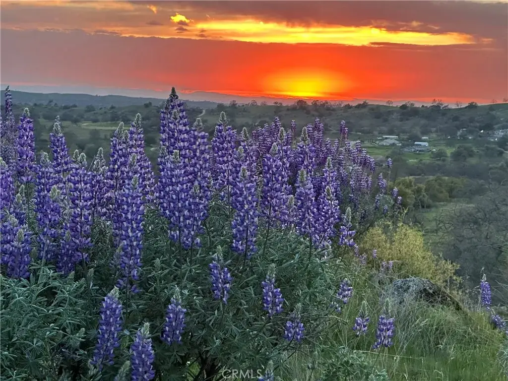 0 Spinecup Ridge, Raymond, CA 93653 - Image #1