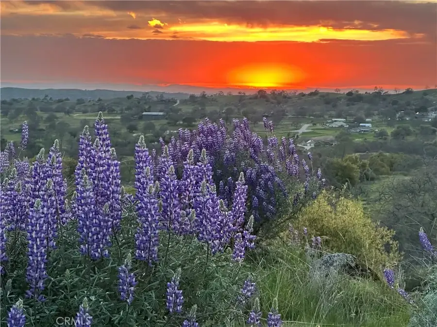 0 Spinecup Ridge, Raymond, CA 93653 - Image #3