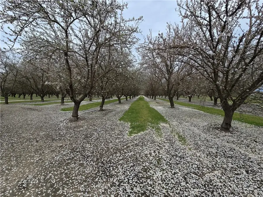 19688 Santa Fe, Escalon, CA 95320 - #2