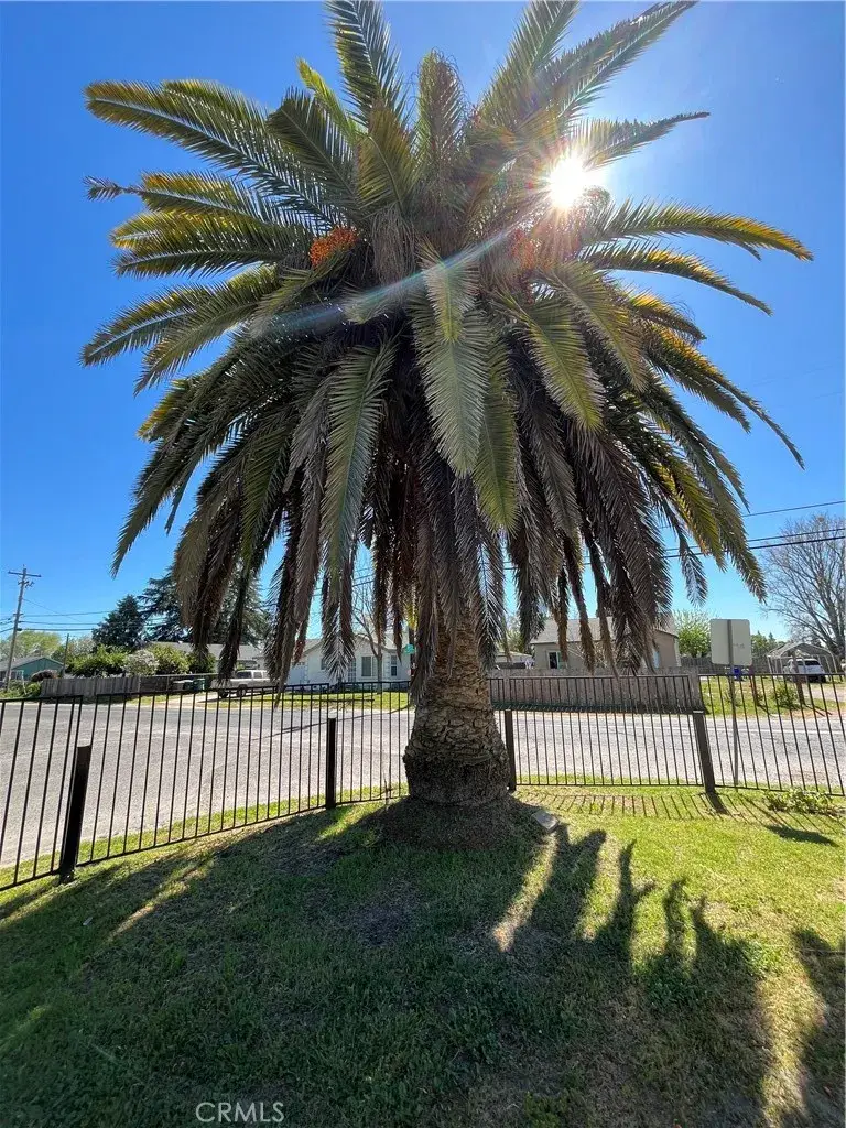 7114 Myrtle, Winton, CA 95388 - #2