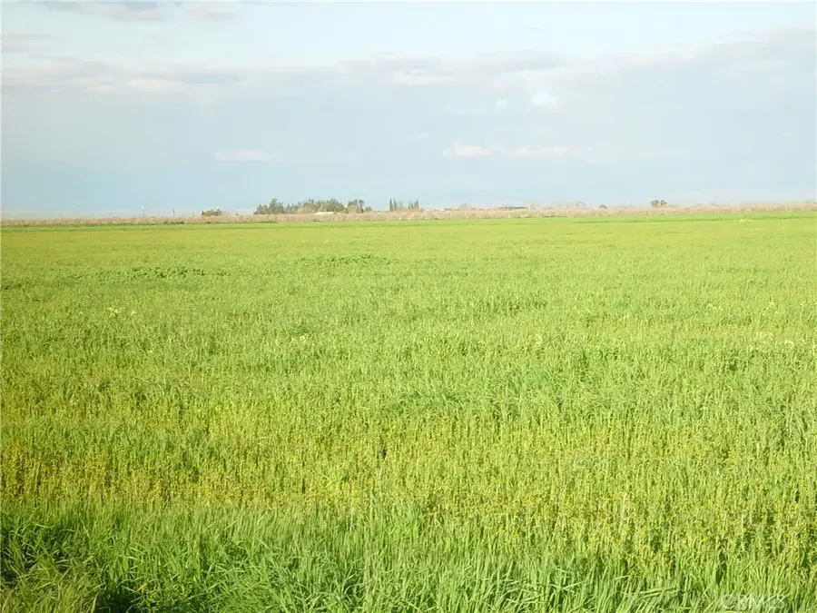 1 Road 18 3/4, Chowchilla, CA 93610 - #3