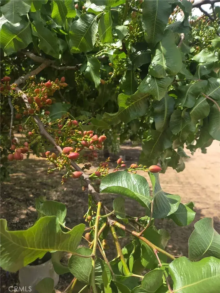 0 Santa Fe, Chowchilla, CA 93610 - #1