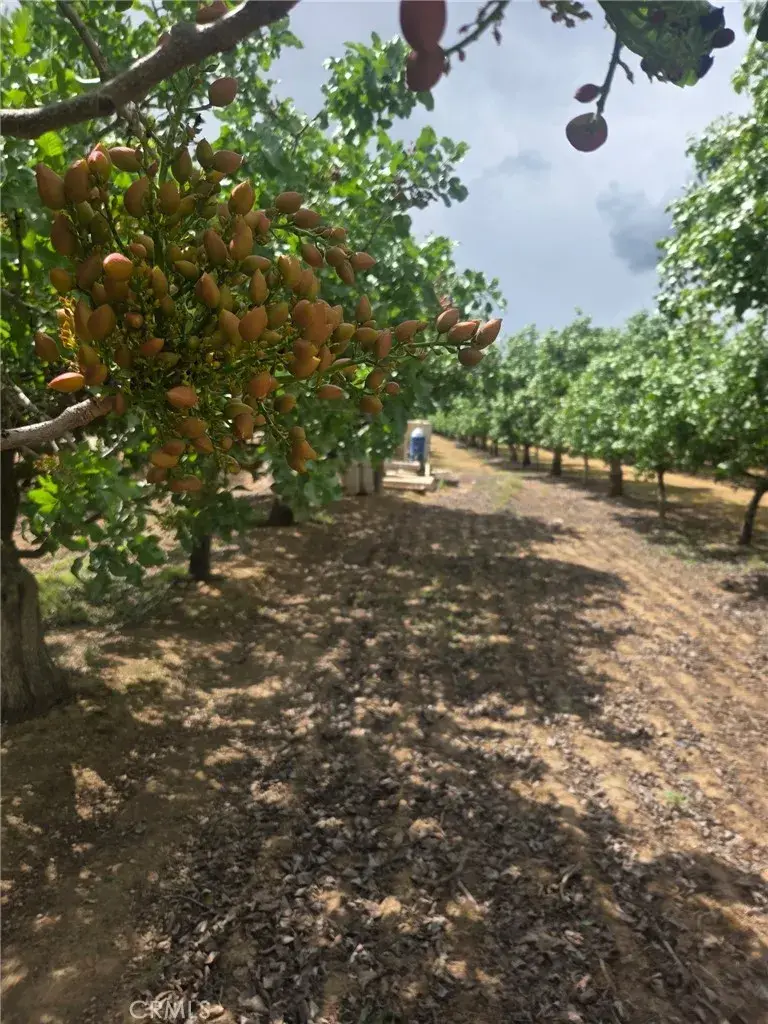 0 Santa Fe, Chowchilla, CA 93610 - #2