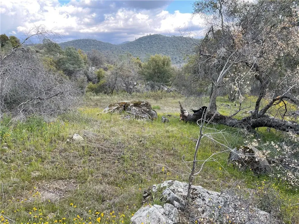 3786 Bronco Hollow Rd, Mariposa, CA 95338 - Image #1