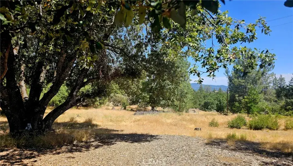 5430 Clouds Rest, Mariposa, CA 95338 - #1