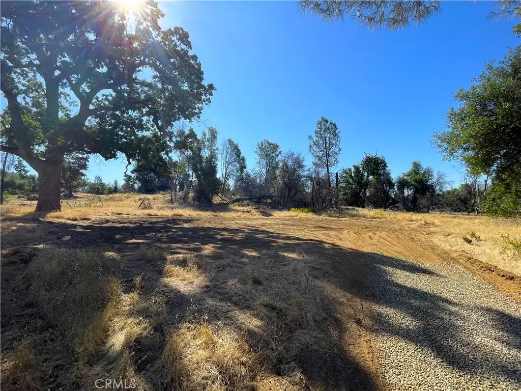 705 Triangle, Mariposa, CA 95338 - #1