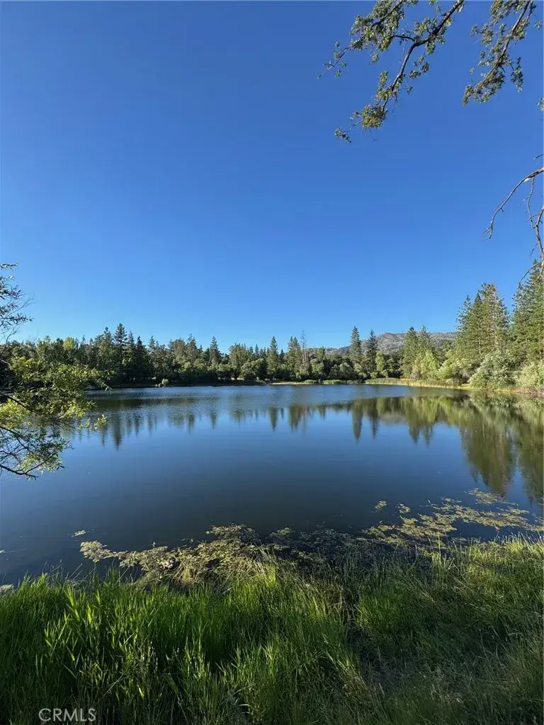 5906 Pine Top Drive, Mariposa, CA 95338 - Image #1