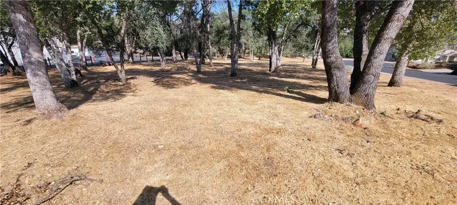 5277 Farfalla, Mariposa, CA 95338 - #3