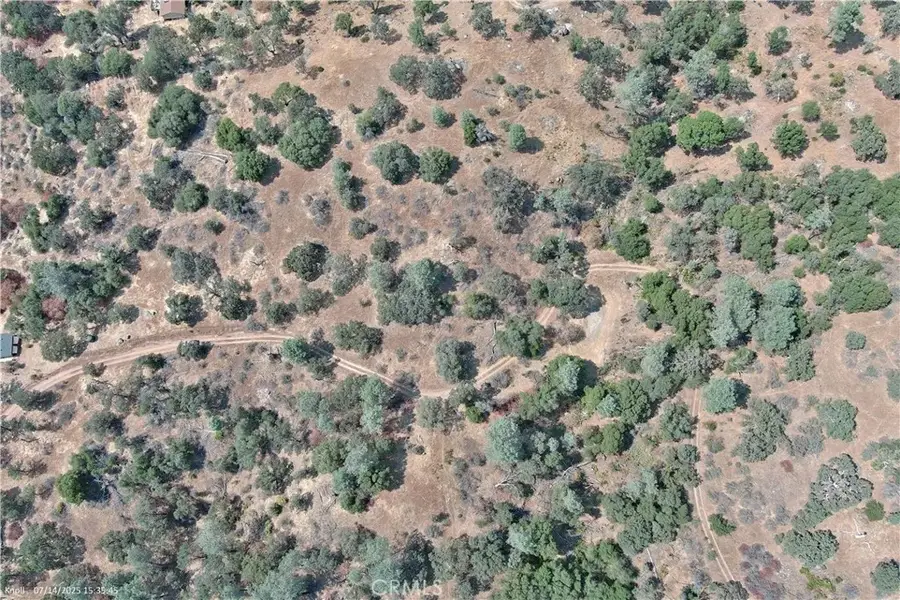 20 Bull Pine, Mariposa, CA 95338 - #2