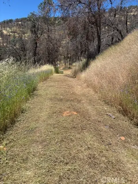 5358 Mariposa Heights, Mariposa, CA 95338 - Image #2