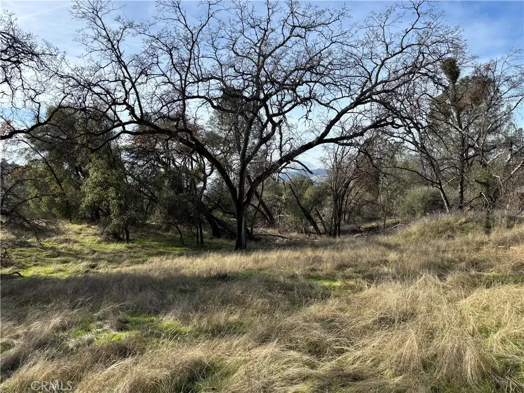 0 Daffodil, Mariposa, CA 95338 - #1