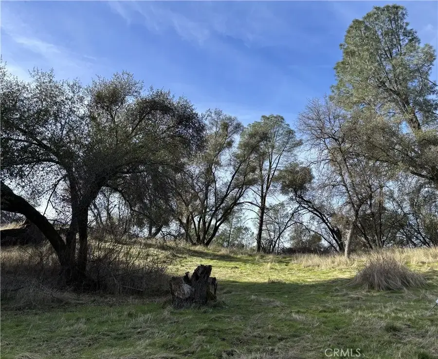 0 Daffodil, Mariposa, CA 95338 - #3