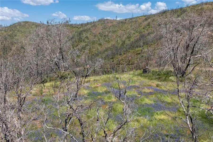 39 Acres Buckingham Mountain, Mariposa, CA 95338 - #3