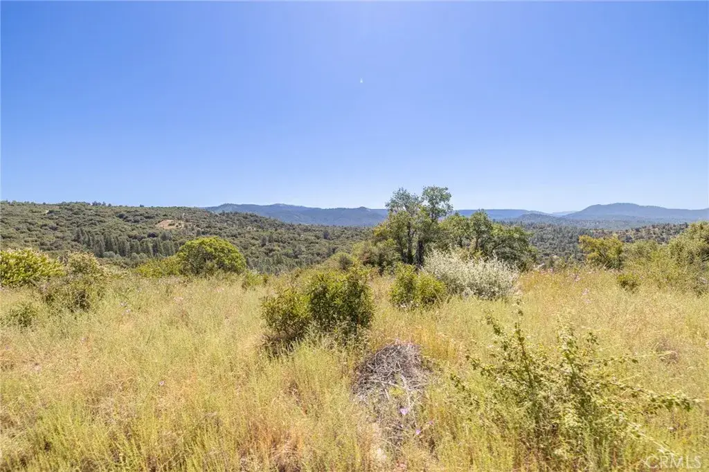 99 Old Yosemite, Oakhurst, CA 93644 - #1
