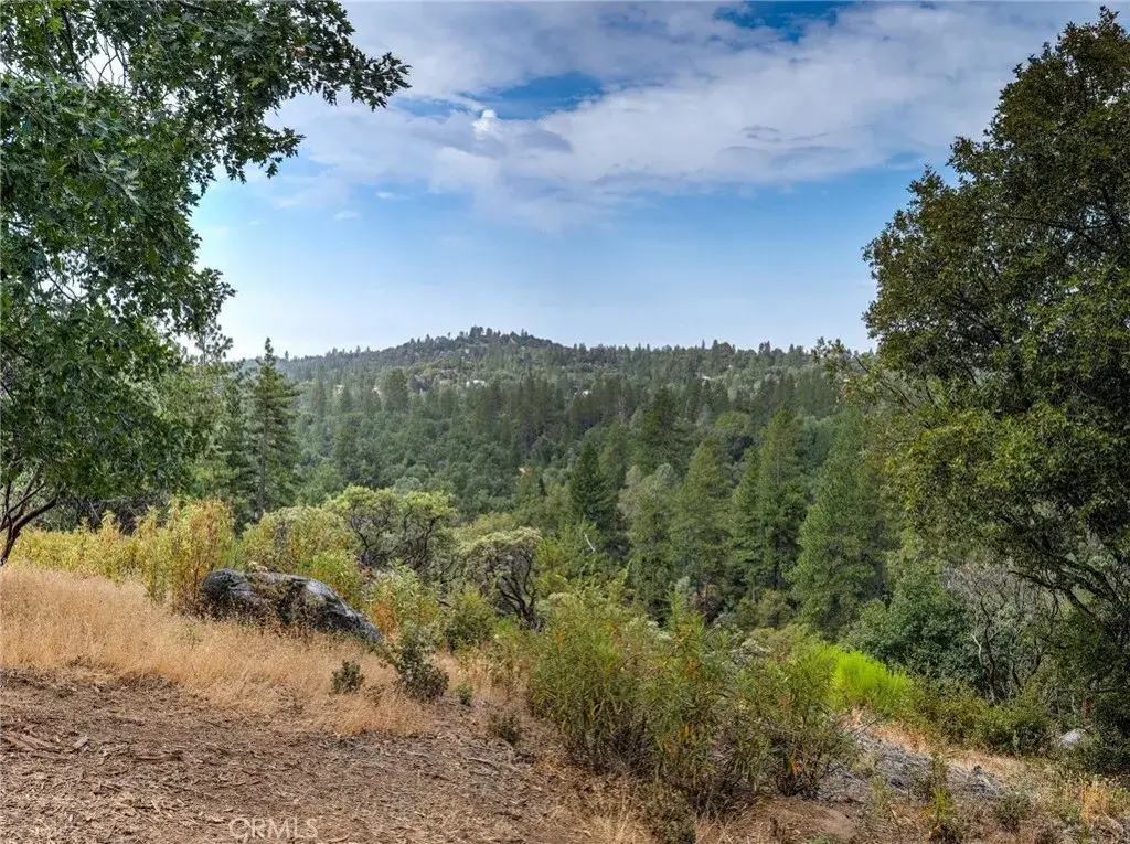 1539001 Vista Lago, Mariposa, CA 95338 - #1