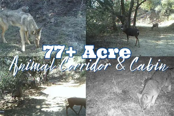 28618 Chihuahua Valley Road, Warner Springs, CA 92086