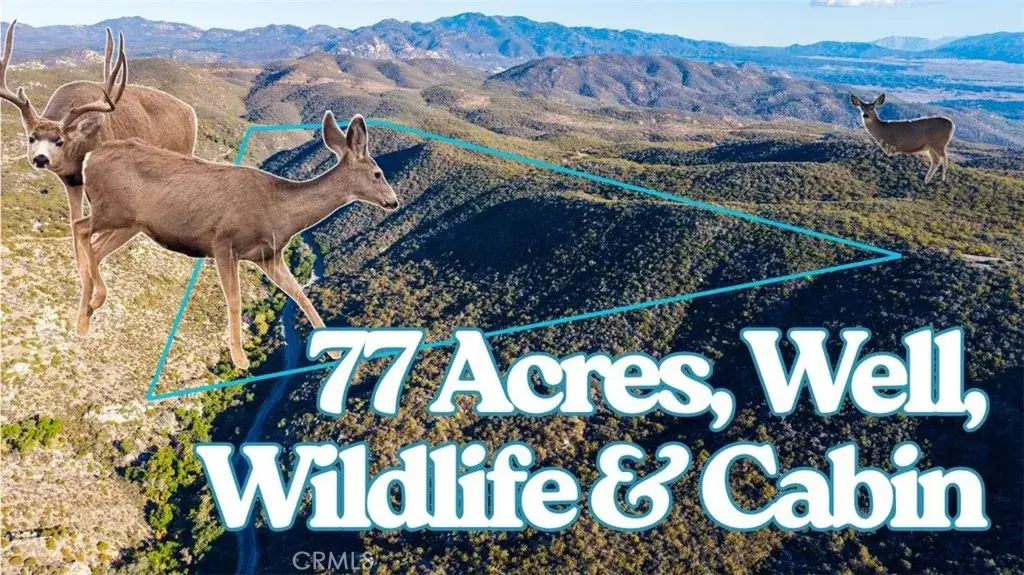 28618 Chihuahua Valley, Warner Springs, CA 92086 - #1