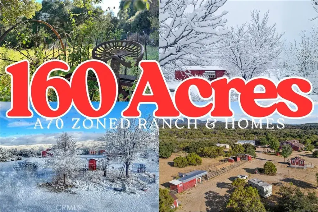 29820 Chihuahua Valley, Warner Springs, CA 92086 - #1