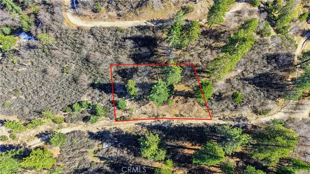 0 Elder, Cedar Glen, CA 92321 - #1