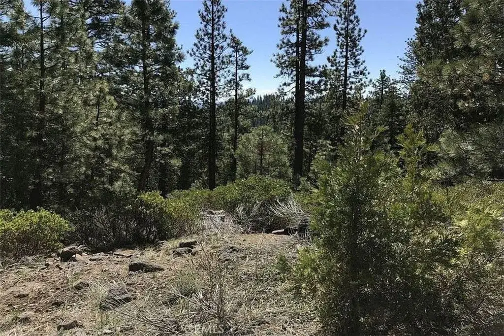 0 Falcon Road, Alturas, CA 96101 - #1