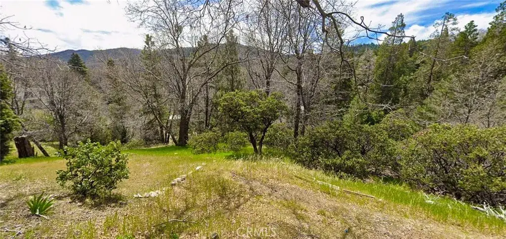 0 Hemlock, Cedar Glen, CA 92321 - #1