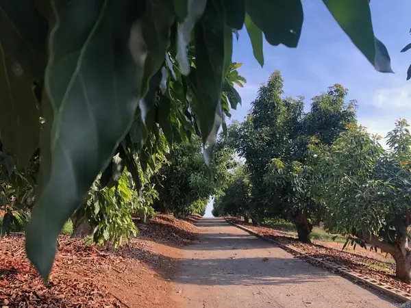 1313 Rice Canyon Rd, Fallbrook, CA 92028