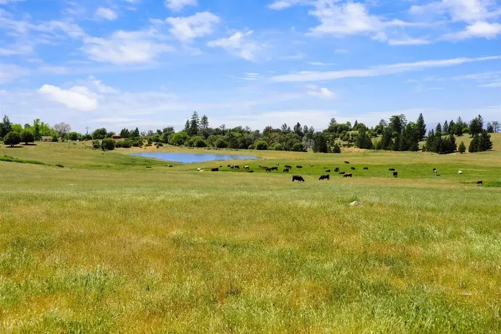 3510 Deer Lake Park, Julian, CA 92036 - Image #1