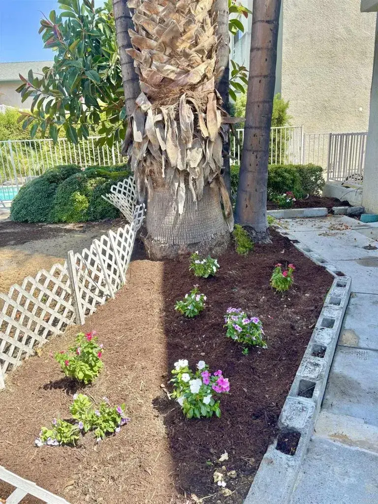 20920 Community Street #7, Canoga Park, CA 91304 - Image #3