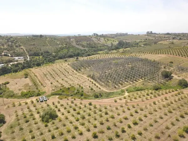 0 Birdsong, Escondido, CA 92026