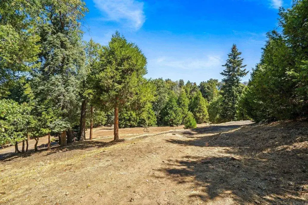 22520 Greenfield, Palomar Mountain, CA 92060 - #1