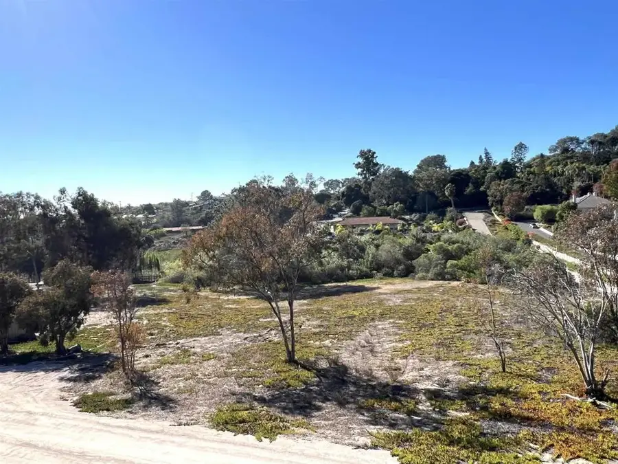Mays Hollow Lane, Encinitas, CA 92024 - #2