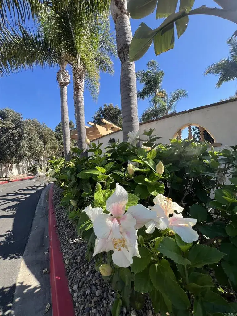 4241 Loma Riviera Lane, San Diego, CA 92110 - #2