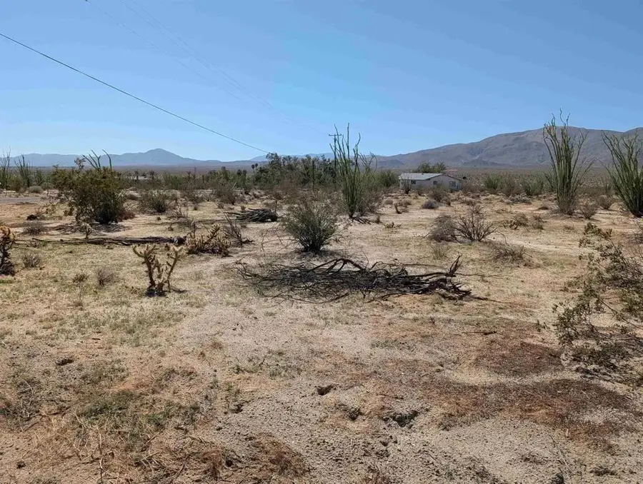 Rango, Borrego Springs, CA 92004 - Image #3