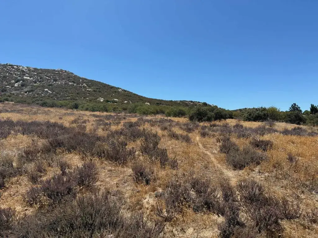 0 Montezuma Valley Road, Ranchita, CA 92066 - #1