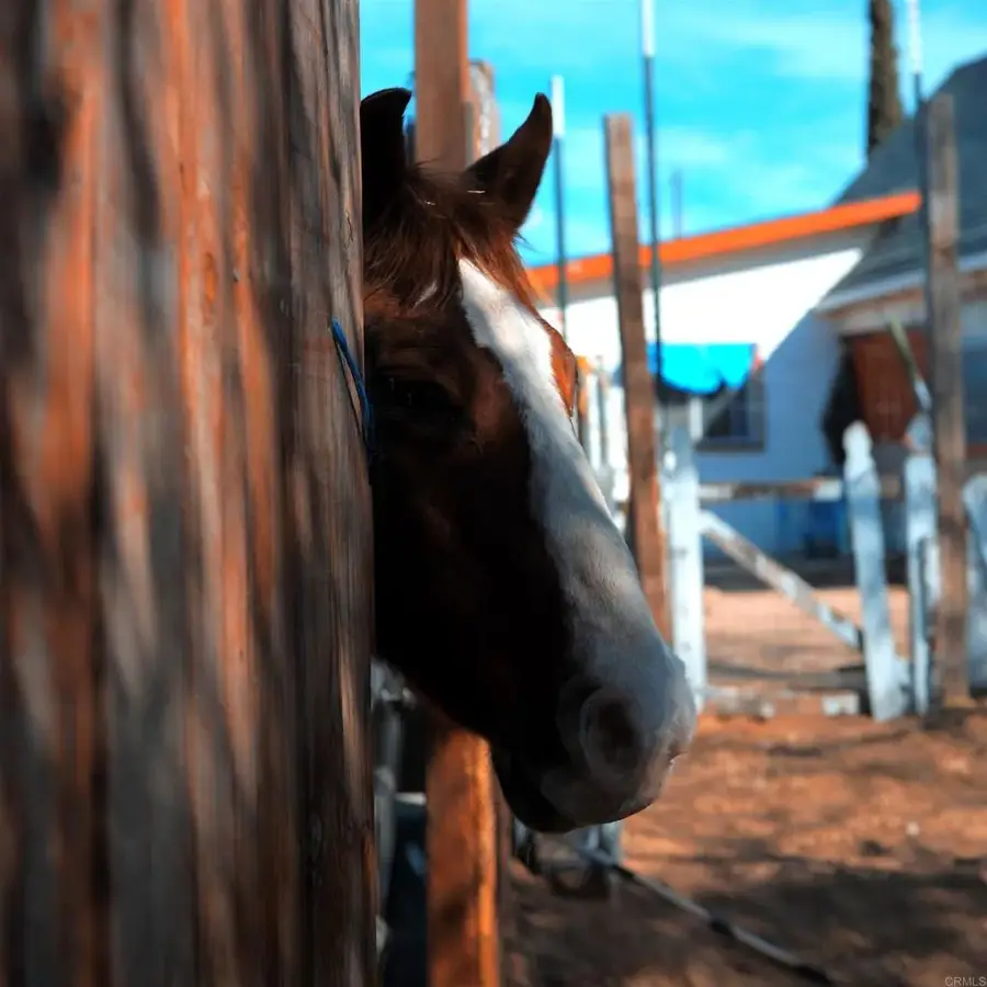 41945 Apple Road, Anza, CA 92539 - Image #2