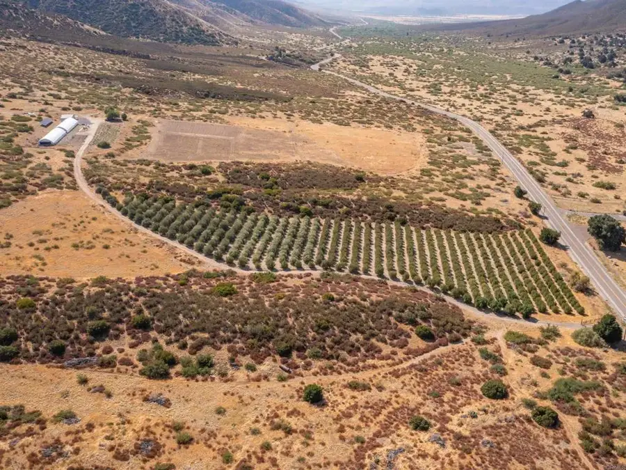 129 San Felipe, Warner Springs, CA 92086 - #3